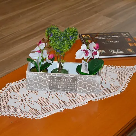 Dom wakacyjny Elpida's PalaiónTsiflíkion