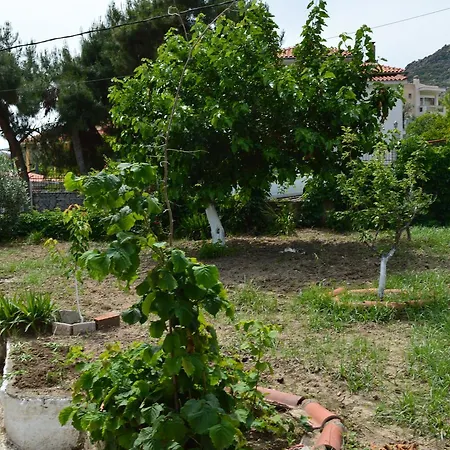 Elpida's Holiday home Palaiontsiflikion